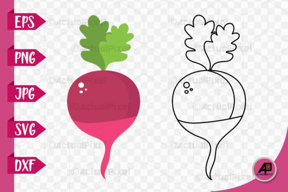 Beetroot Outline with Color Image: A Modern Graphic Resource