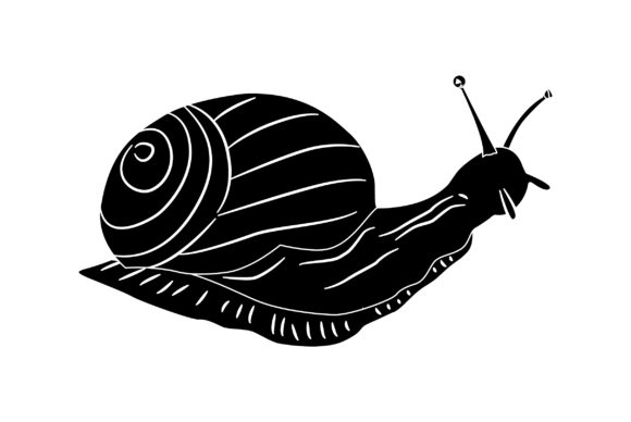 Snail Vector Design Solid Color: A Fresh Take on a Timeless Subject