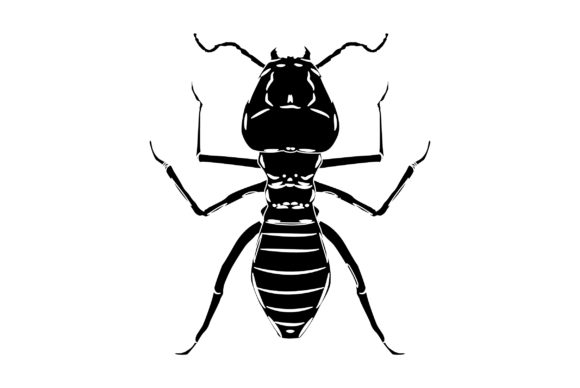 Termite Vector Design Solid Color: A Designer's Practical Asset